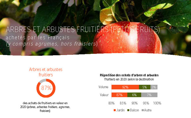 Études achats arbres arbustes fruitiers données 2020