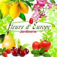 fleurs-europe-photo-logo