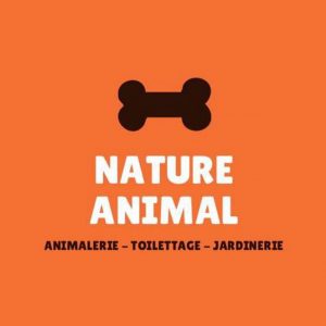 nature-animal-7